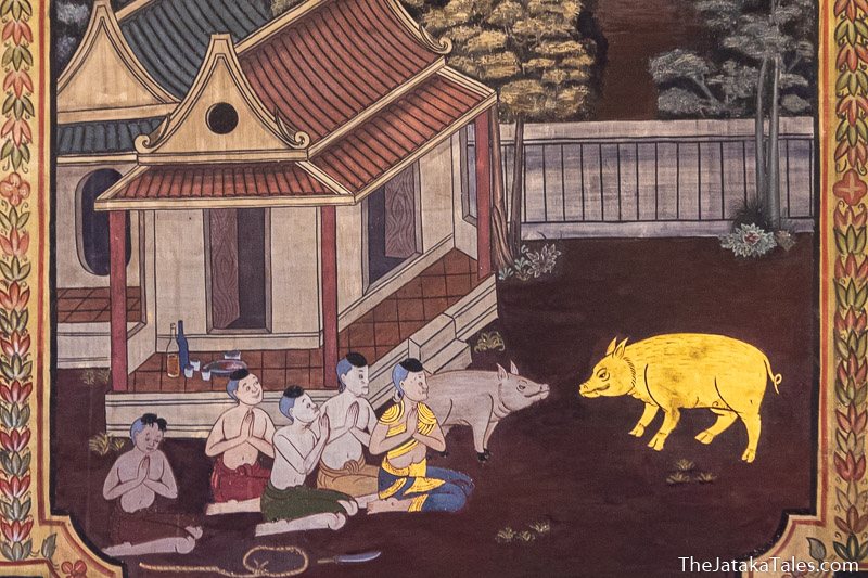 painting of Bodhisatta as a wild boar